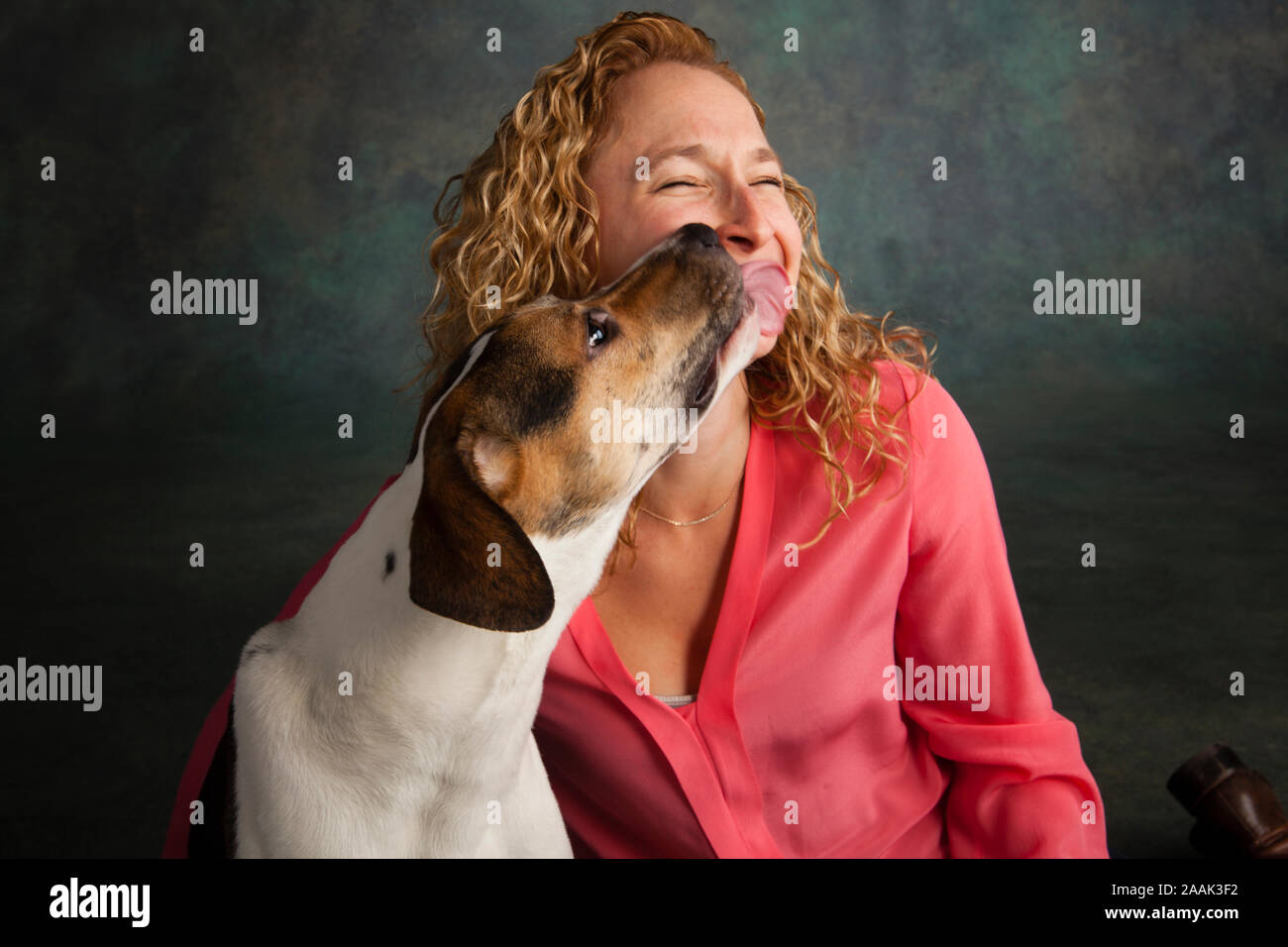 Studio shot of mixed breed dog licking smiling woman's face Stock Photo