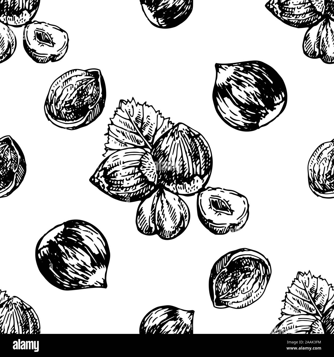 Seamless pattern of hand drawn sketch style hazelnuts isolated on white ...