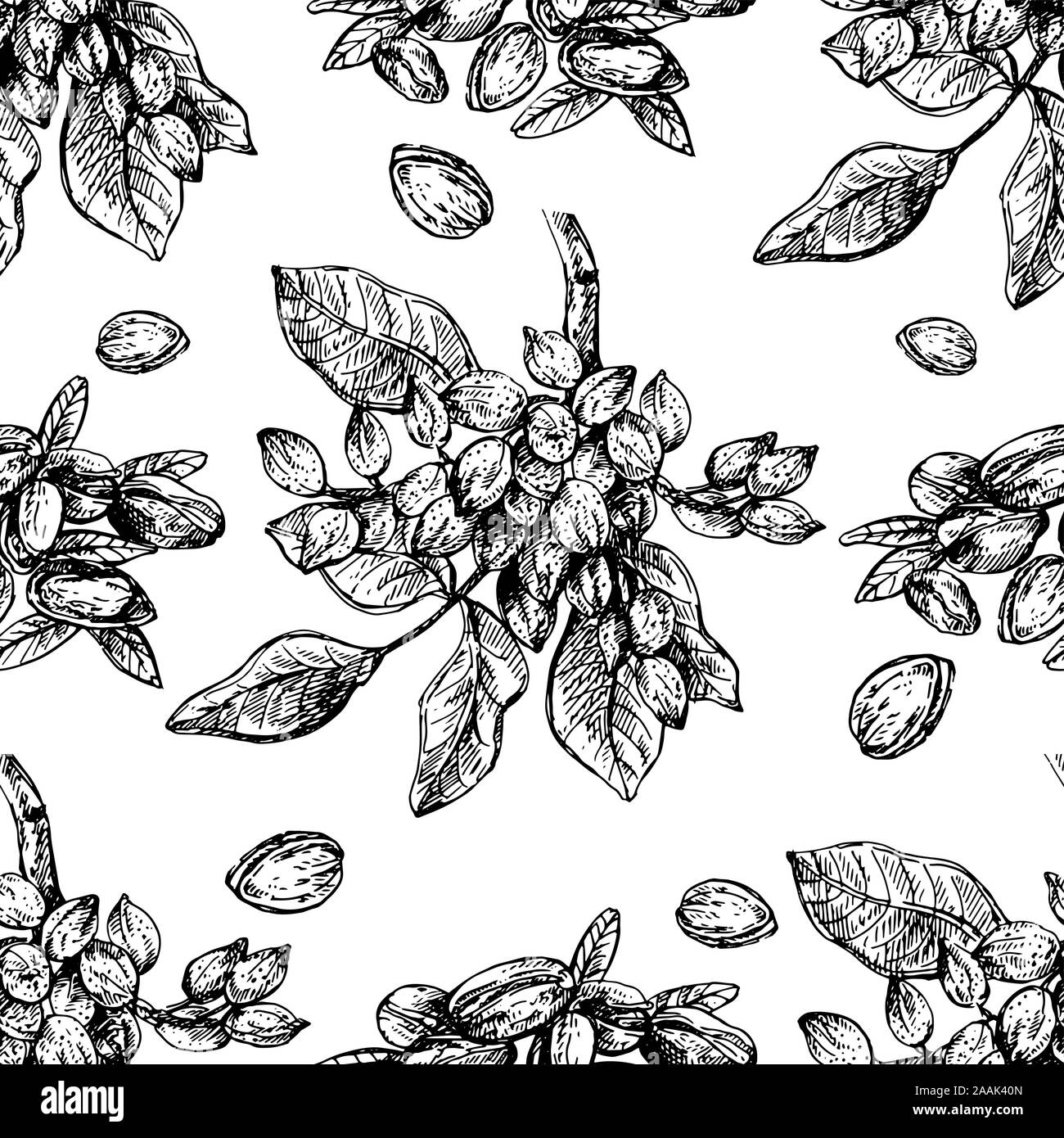 Seamless pattern of hand drawn sketch style pistachios isolated on white background. Vector illustration. Stock Vector