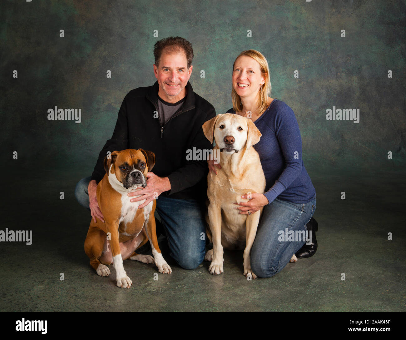 Studio portrait of man and woman with boxer dog and Golden Retriever Stock Photo