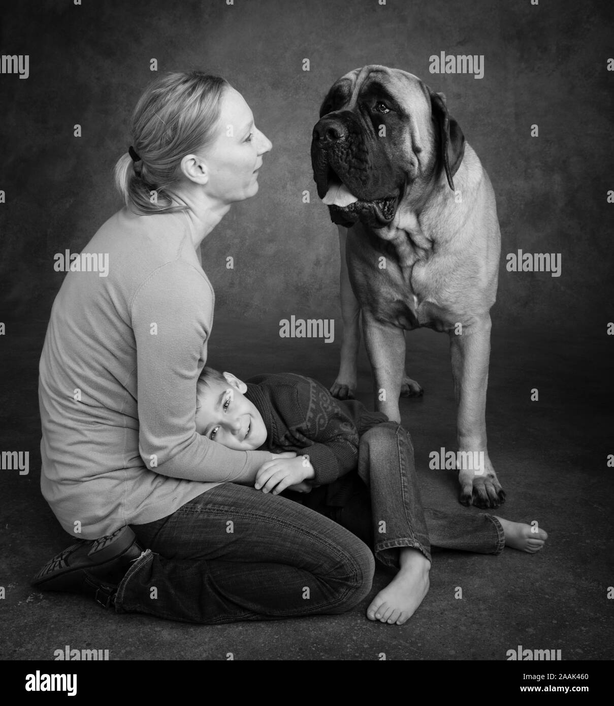Studio shot of woman with son and Mastiff Stock Photo
