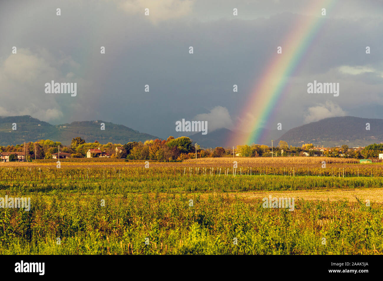 Italy Veneto Prealpi Trevigiane -  Near Pieve di Soligo Stock Photo