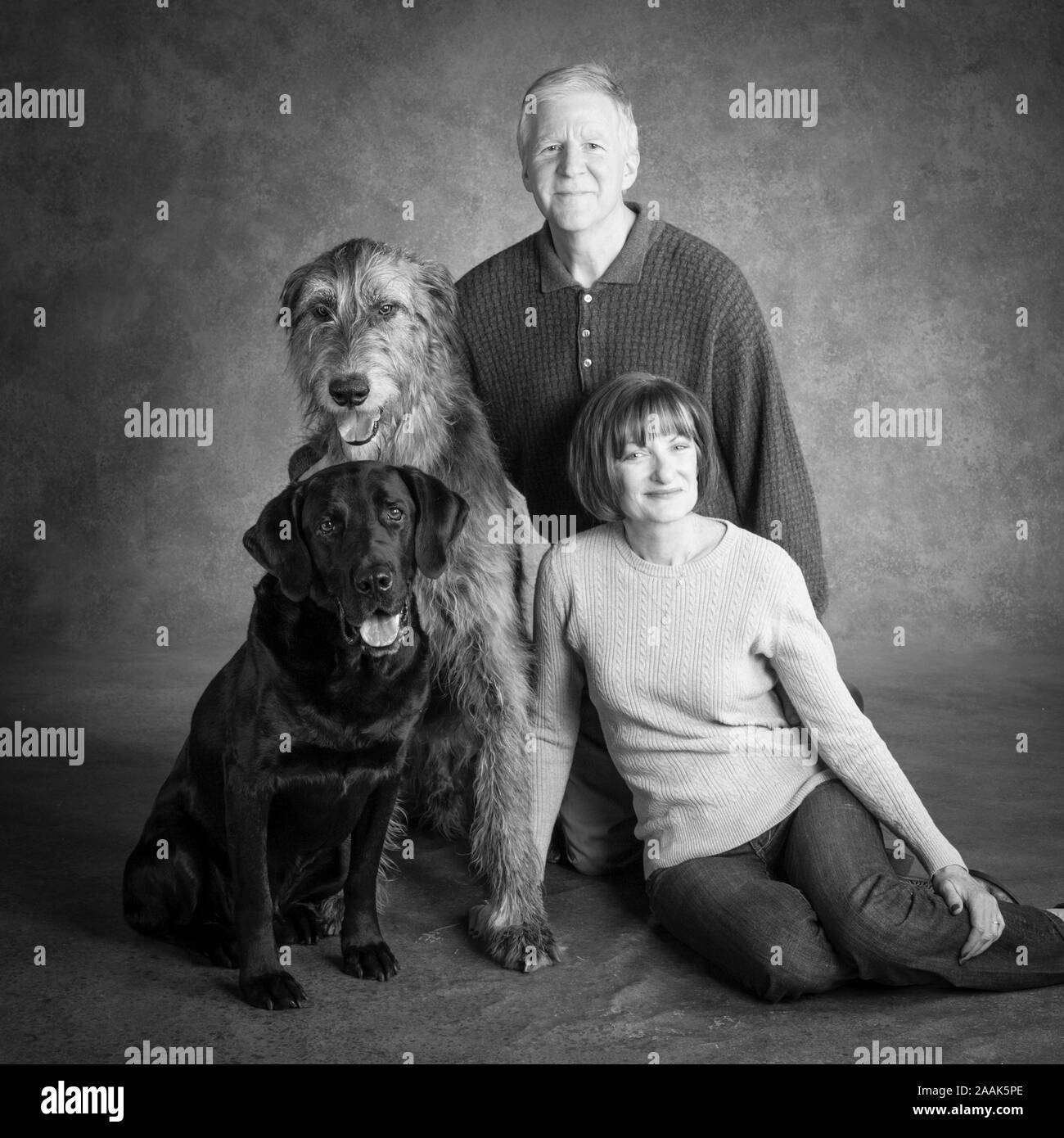 Studio portrait of man and woman with Wolf Hound dog and Labrador Great Dane mixed dog Stock Photo