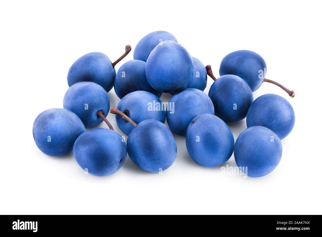 Prunus spinosa plum Cut Out Stock Images & Pictures - Alamy
