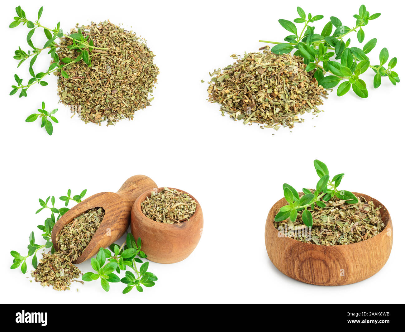 Set or collection dried thyme leaves with fresh thyme isolated on white