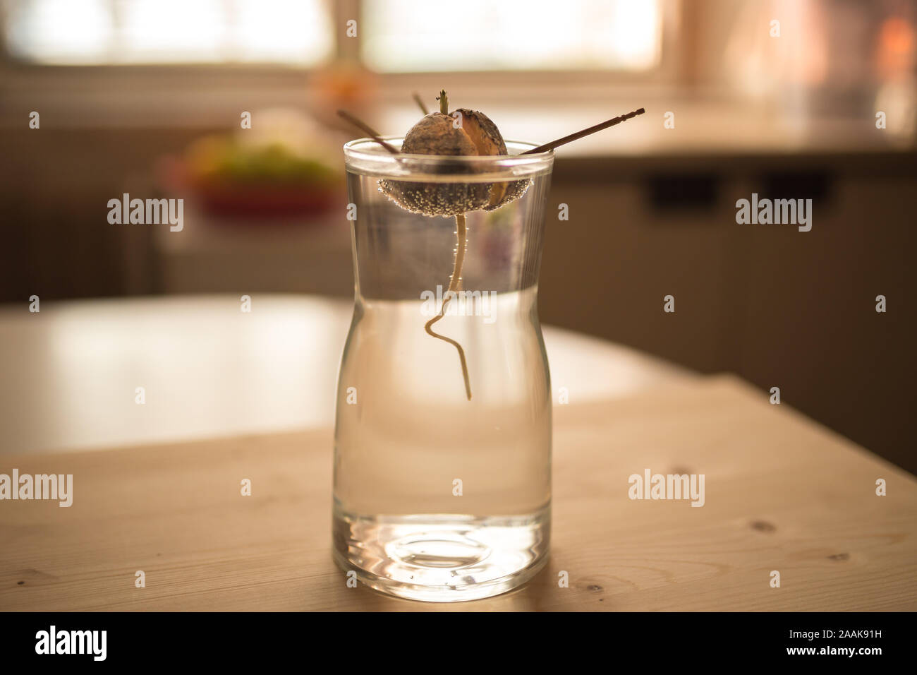 Tree root by house hi-res stock photography and images - Alamy