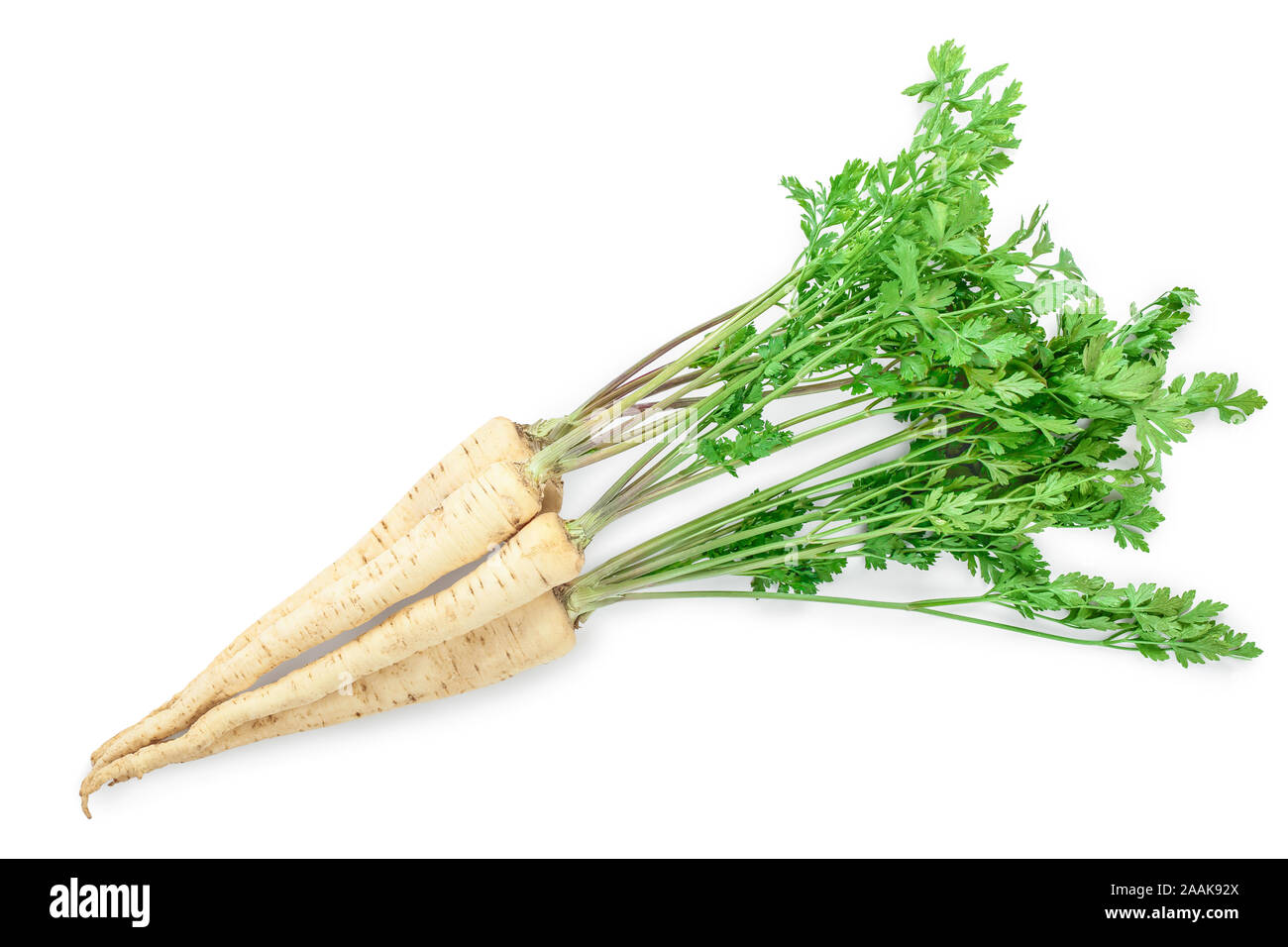 Parsley root with leaves isolated on white background Stock Photo Alamy