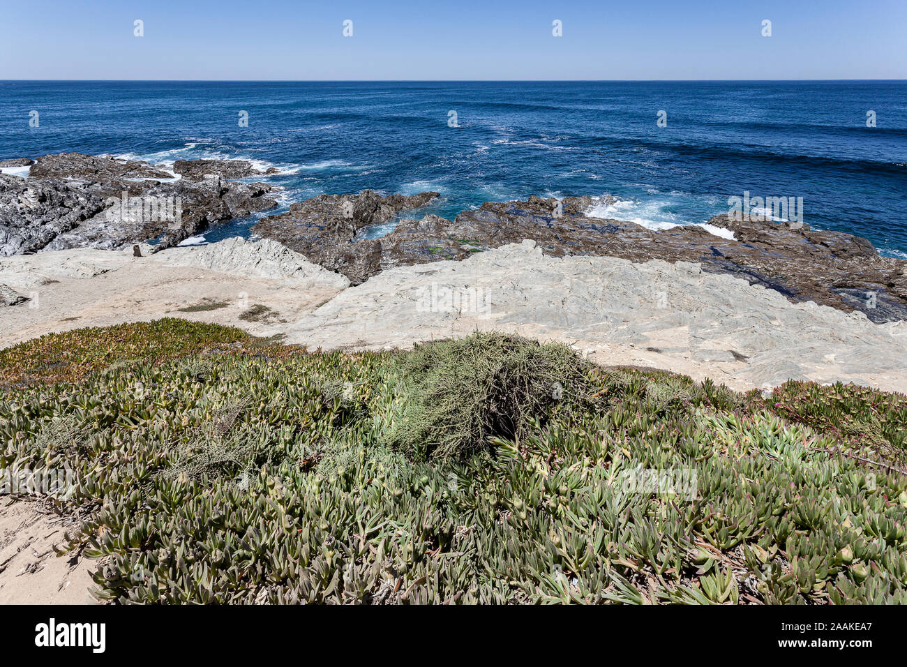 Rocks where sea waves break, thus protecting the coastal vegetation. Stock Photo