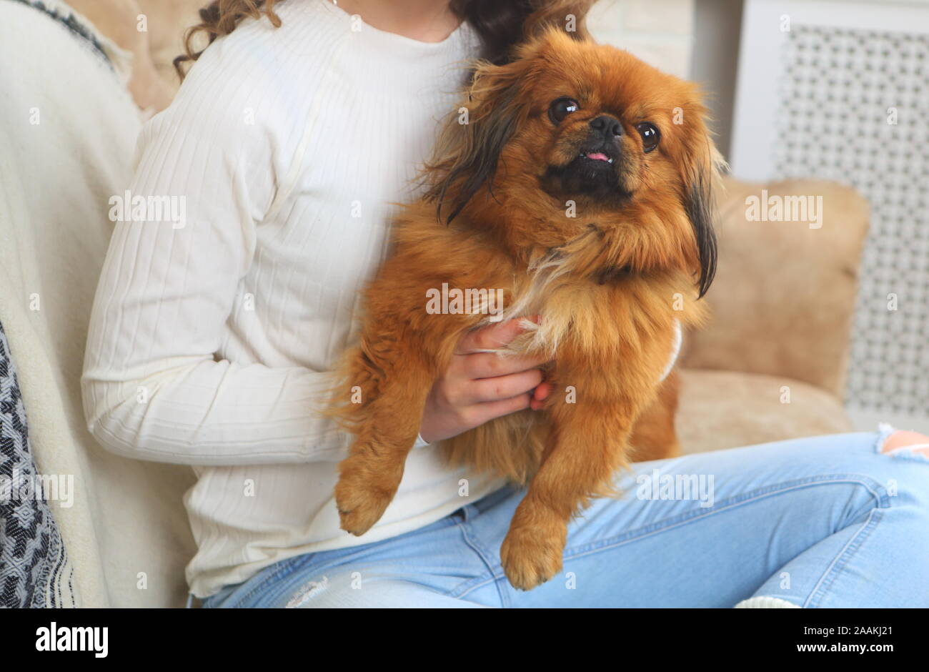 Girl holding a dog Stock Photo