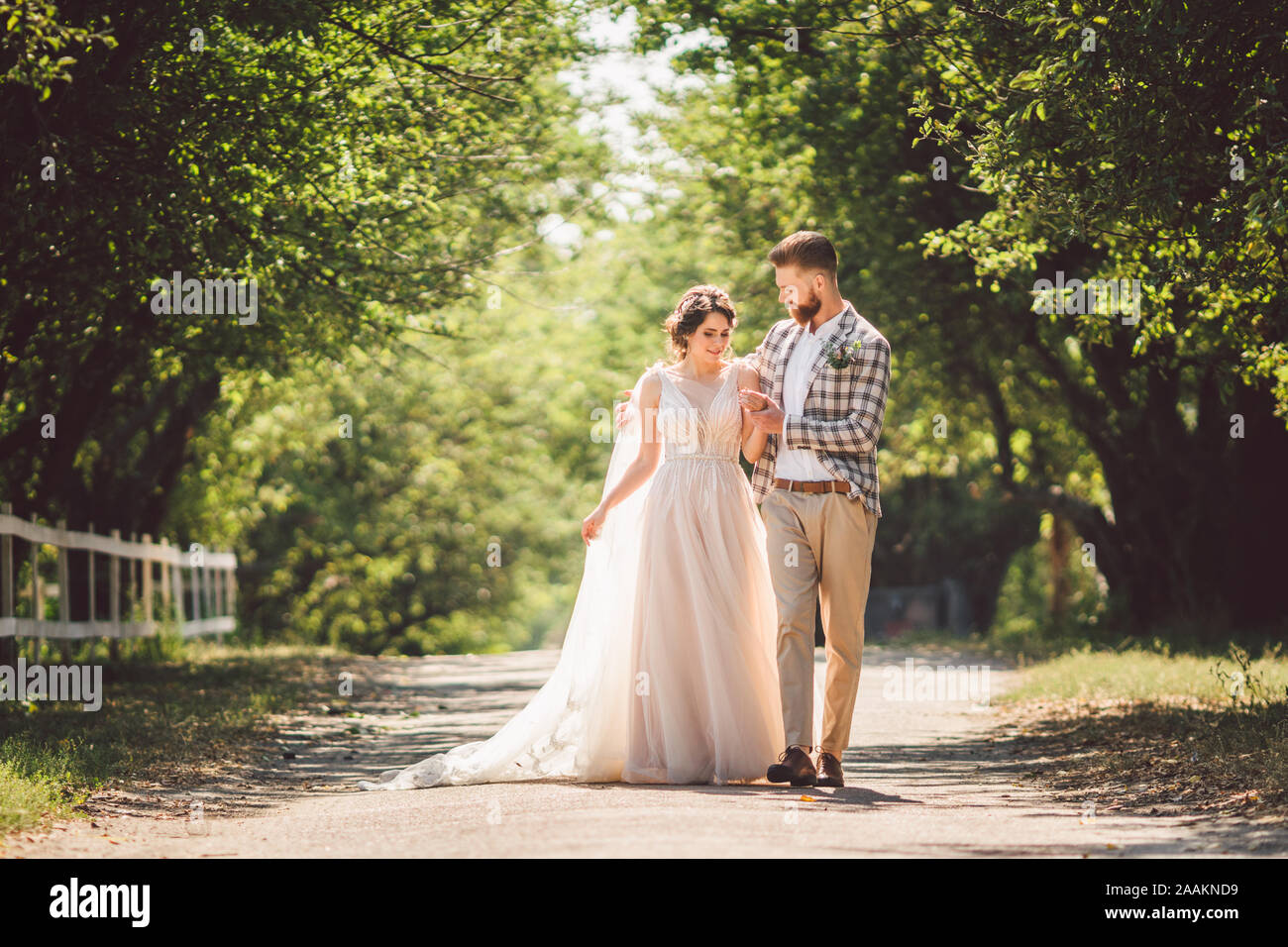 wedding couple enjoys walking in the woods. Newlyweds hug and hold hands. Newlyweds walk forward holding hand in the park along the path in sunny Stock Photo