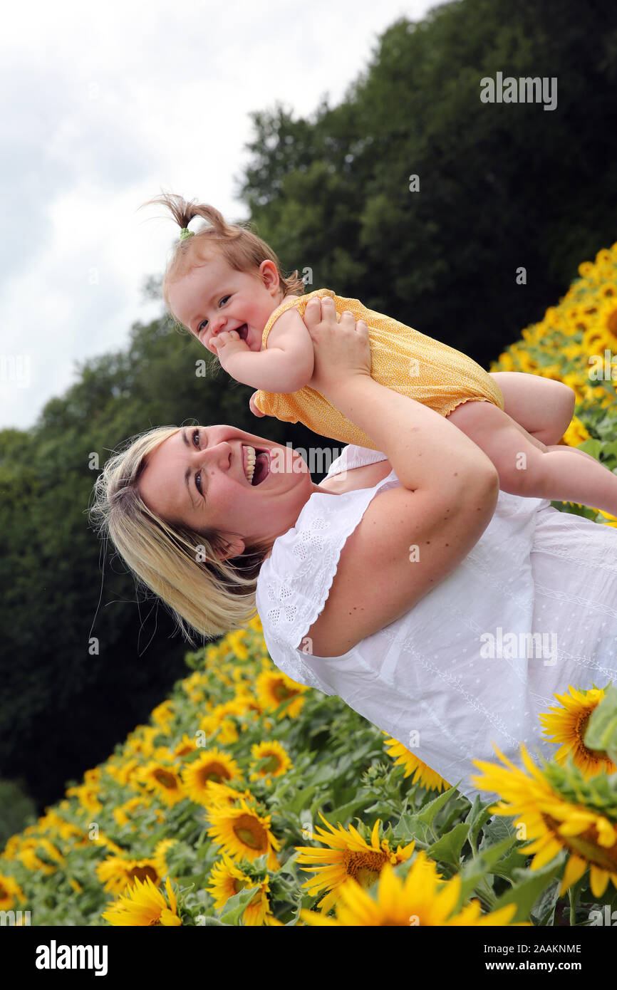 Mother and baby in a sunflower field, France Stock Photo - Alamy