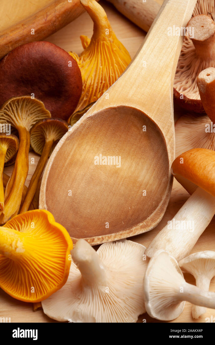 Wild mushrooms and wooden ladle, Albatrellus ovinus, Cantharellus cibarius, Cantharellus tubaeformis, Lactarius rufus, and Russula decolorans Stock Photo
