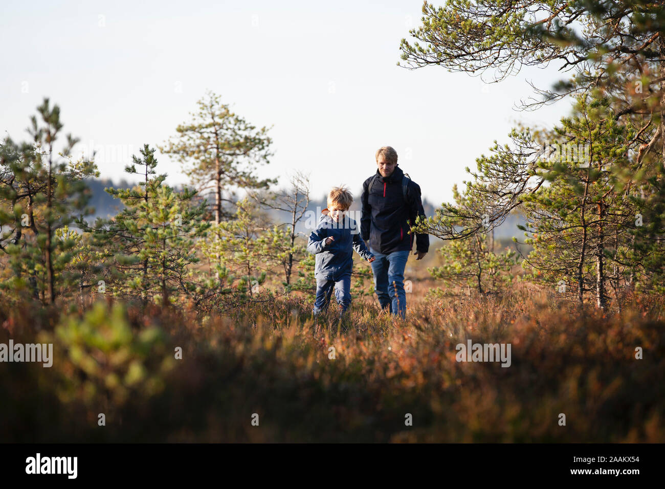 Father and son exploring forest, Finland Stock Photo