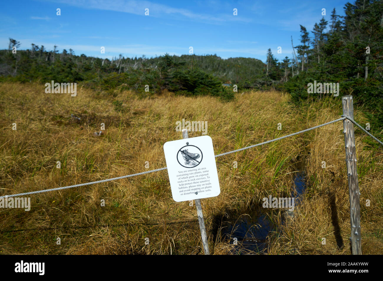 Sign warning hikers to stay on the trails to prevent damage to fragile plants on Franconia Ridge, New Hampshire, USA. Stock Photo