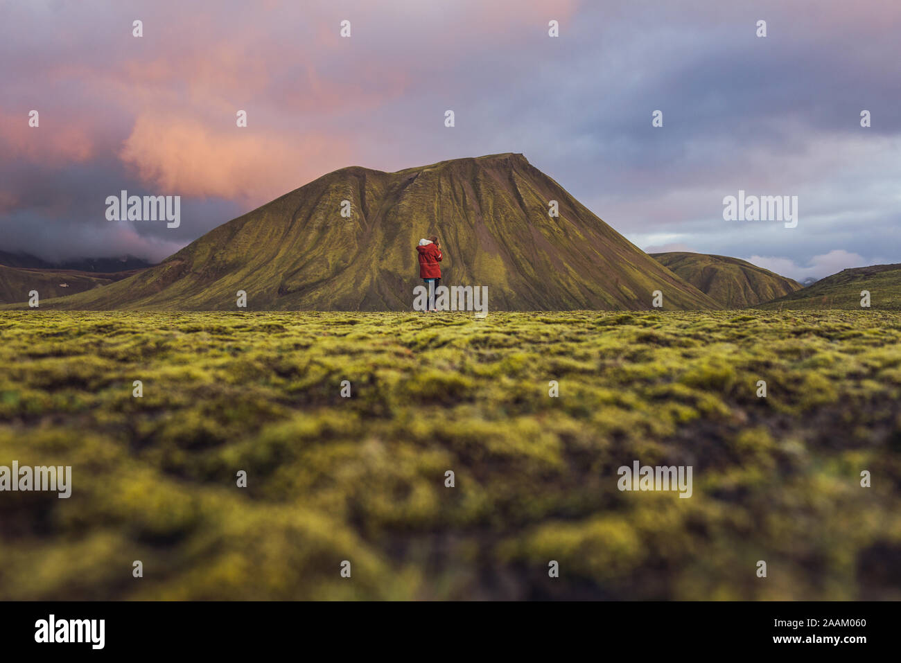 Hiker exploring mossy landscape, Landmannalaugar, Highlands, Iceland Stock Photo