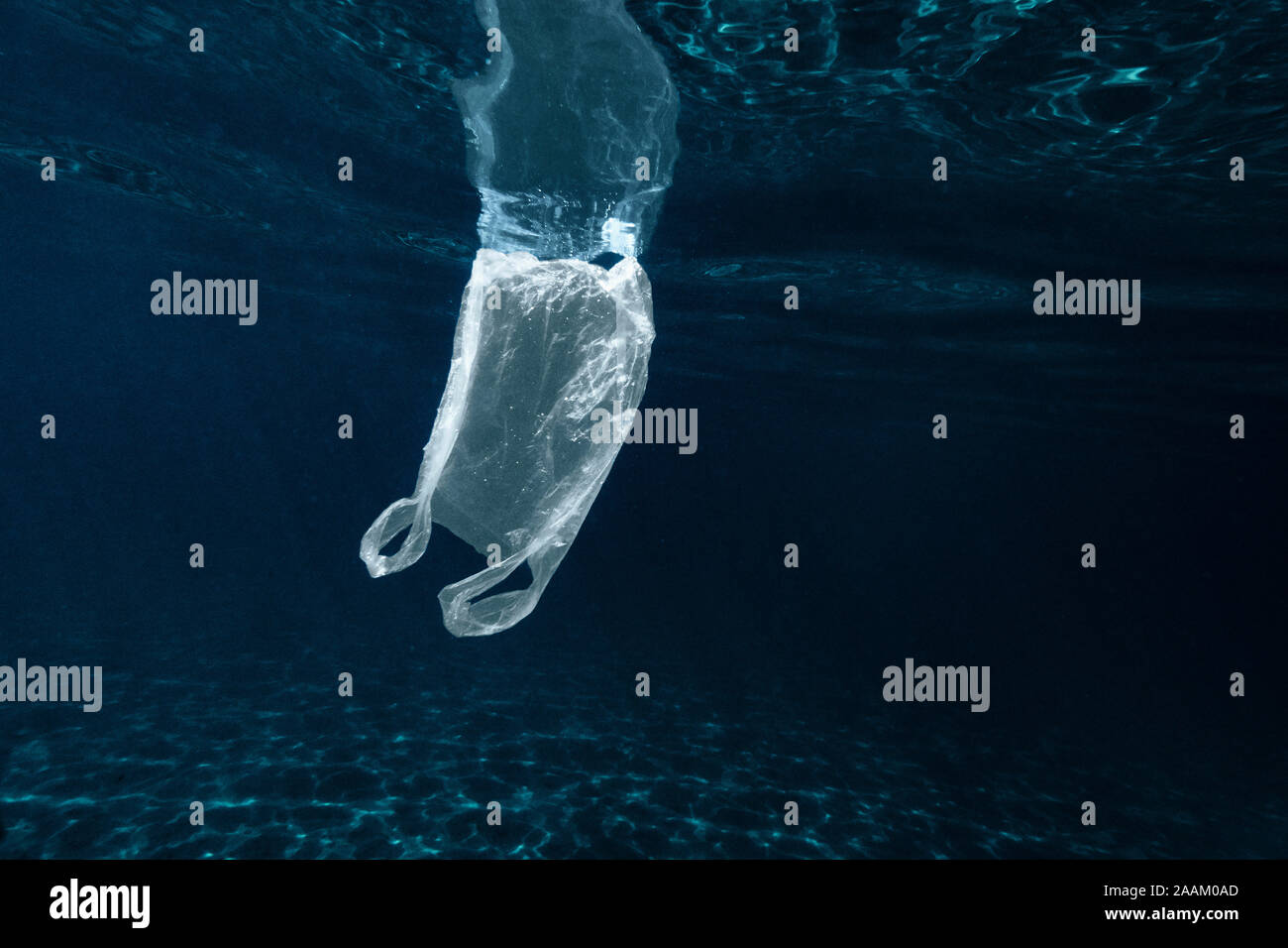 Plastic bag floating in sea Stock Photo Alamy