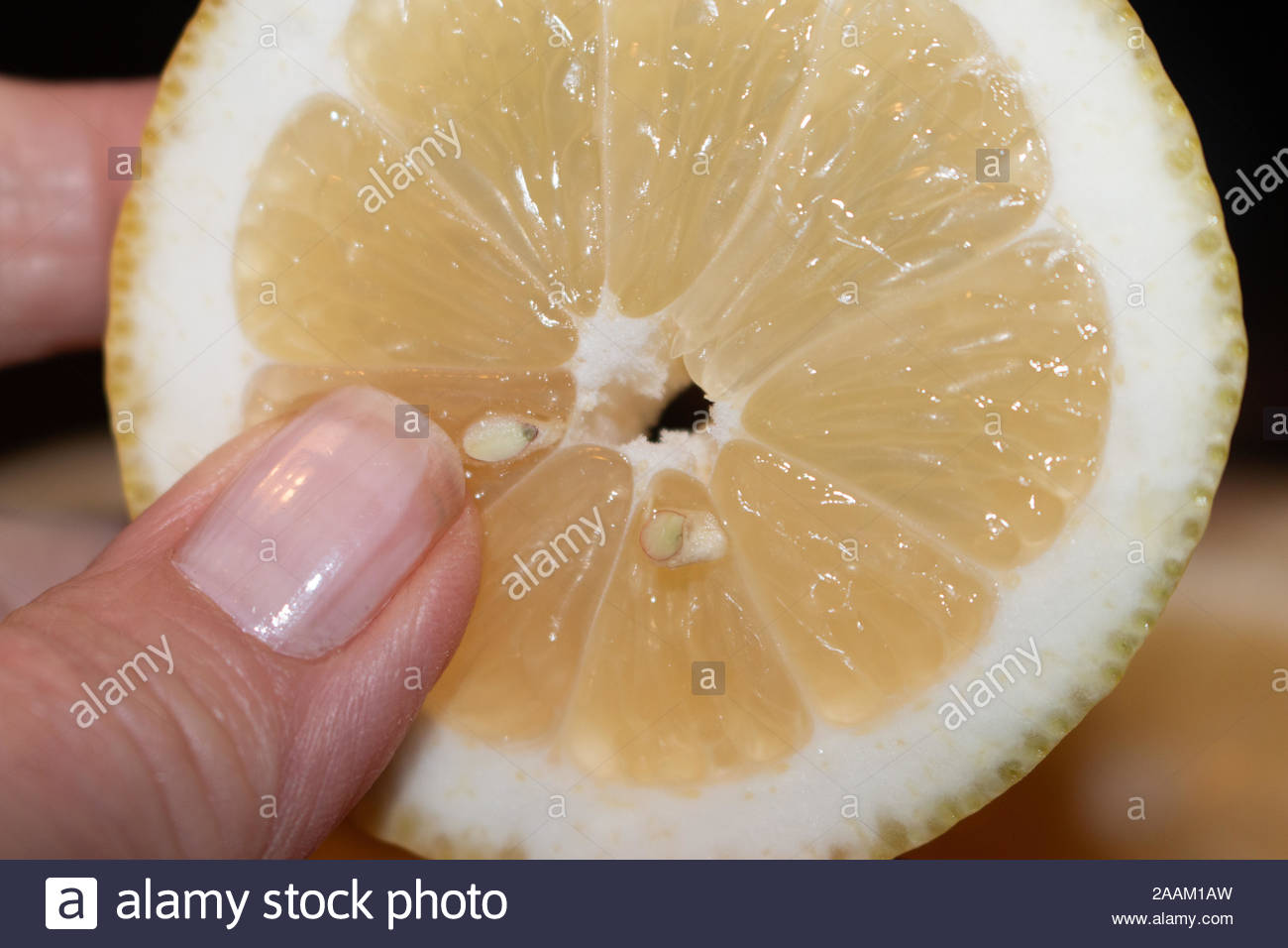 Oranges And Citrus Slices Dried For Winter Decoration Ud Room
