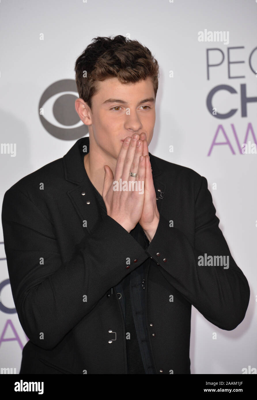 LOS ANGELES, CA JANUARY 6, 2016 Shawn Mendes at the People's Choice
