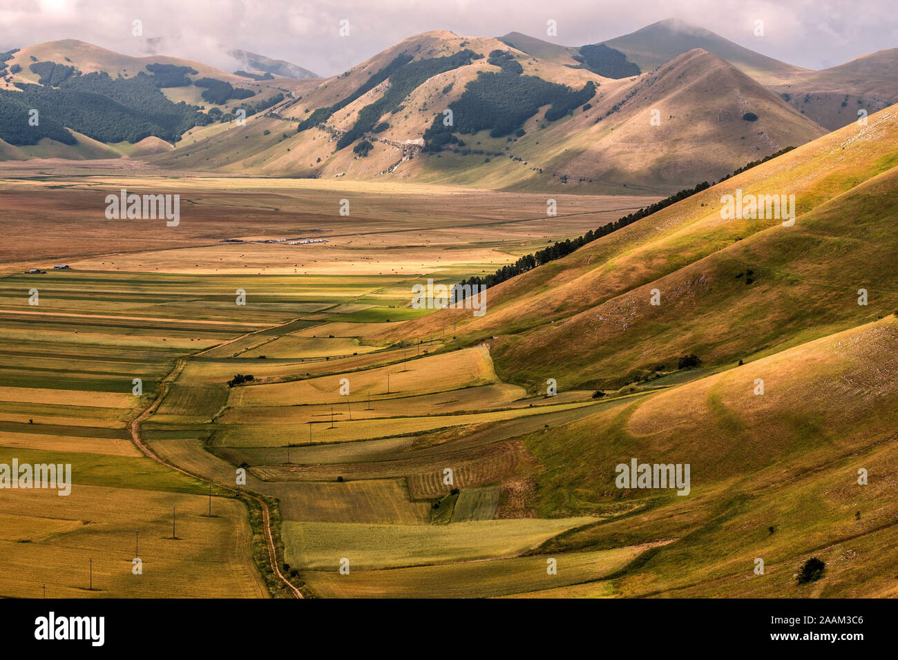 Castelluccio di Norcia, Perugia, Umbria. Green heart of Italy.  The Castelluccio plateau in the middle of the Sibillini mountains in the summer. Stock Photo