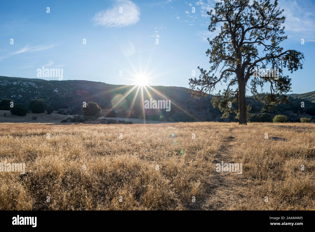 November sunrise at Cuyamaca Rancho State Park. San Diego county, California, USA. Stock Photo