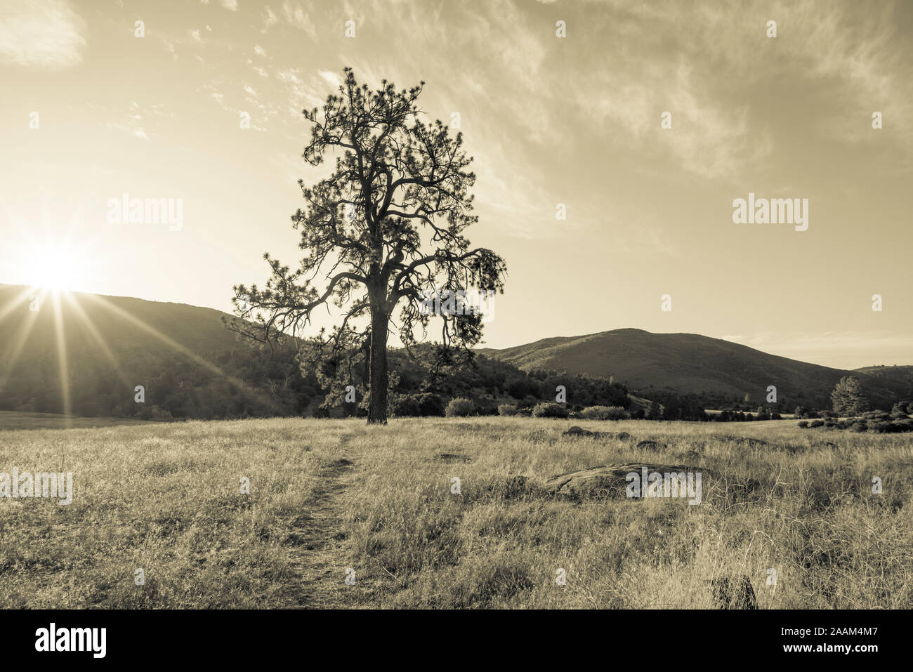 November sunrise at Cuyamaca Rancho State Park. San Diego county, California, USA. Duotone processing. Stock Photo