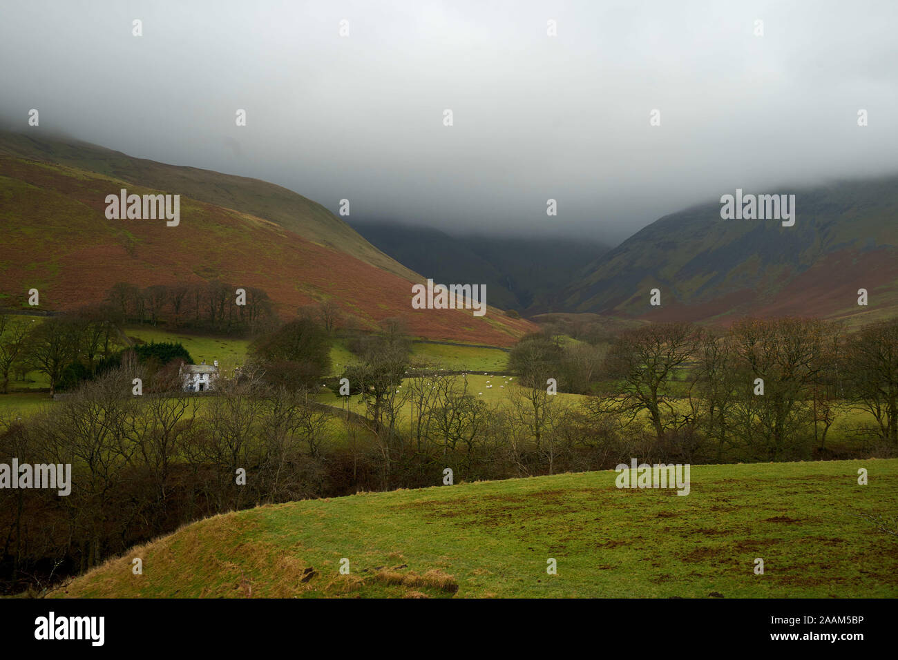 Old white farmhouse in the distance amongst leafless trees and hills in the Howgill Fells under a misty sky on a winters day Stock Photo