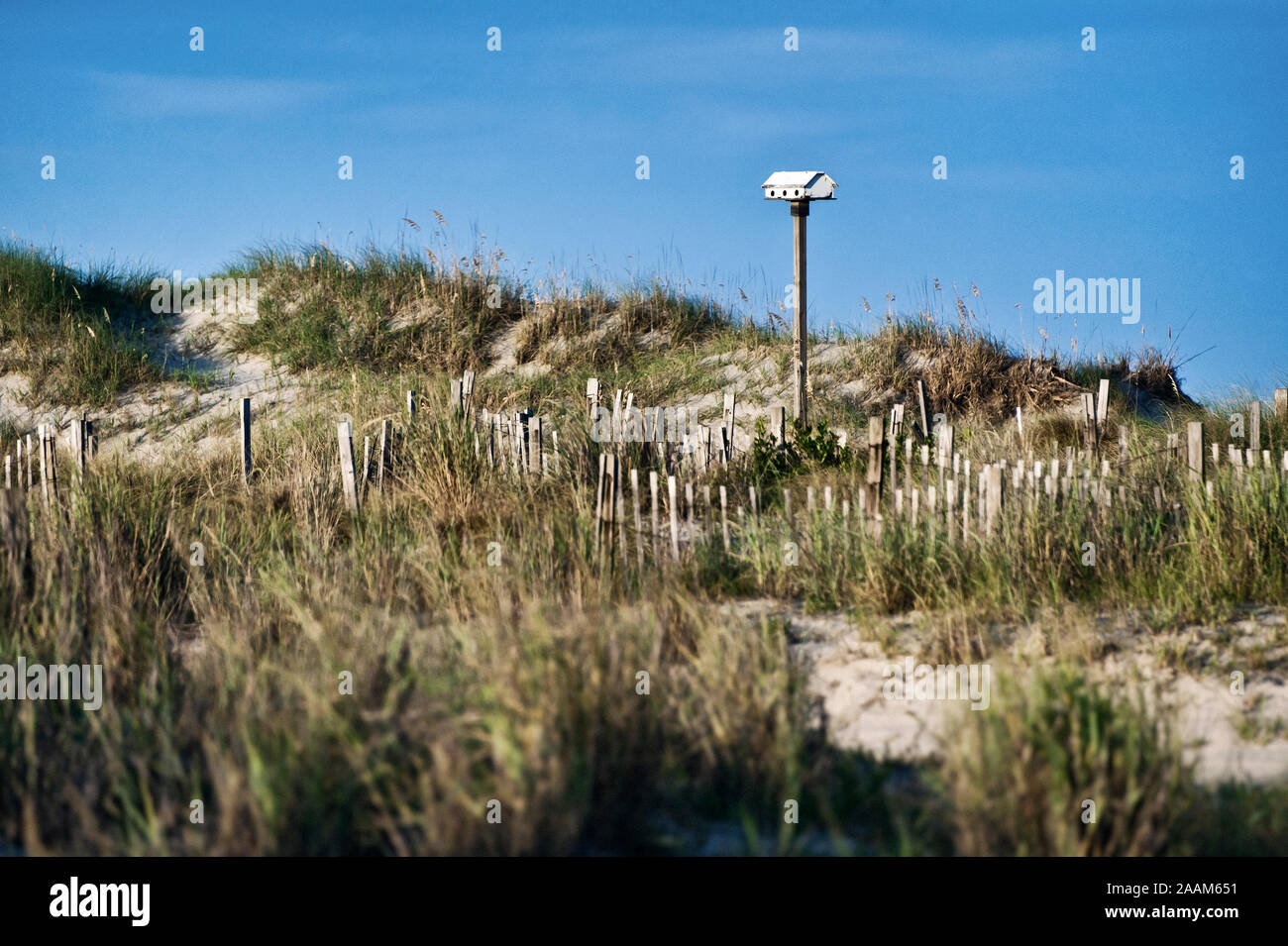 Bird house in coastal sand dunes, Outer Banks, North Carolina, USA Stock Photo