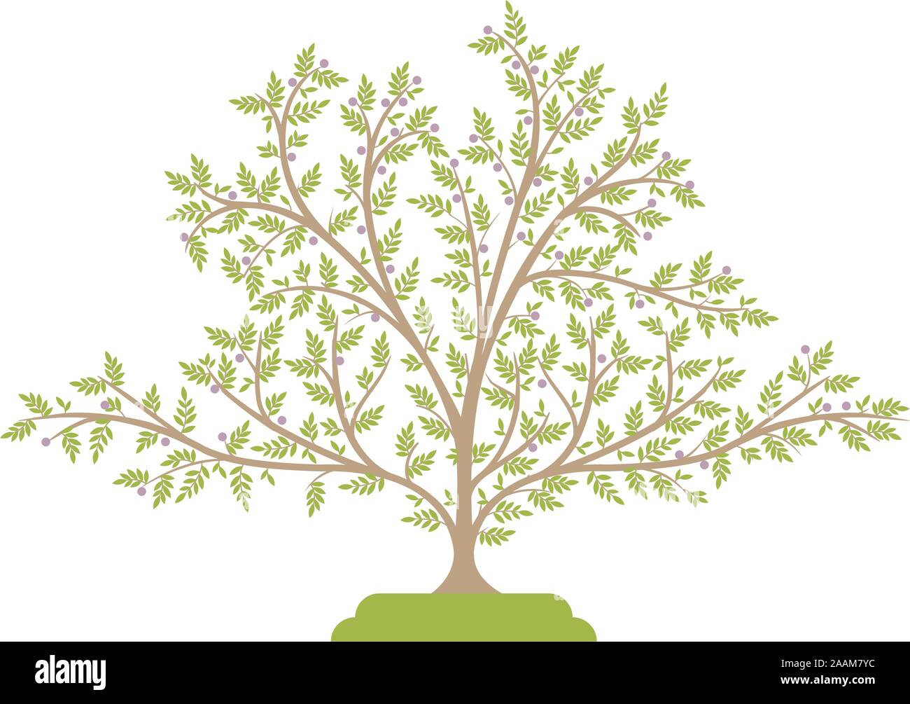 Vector illustration of a tree with green leaves Stock Vector Image ...