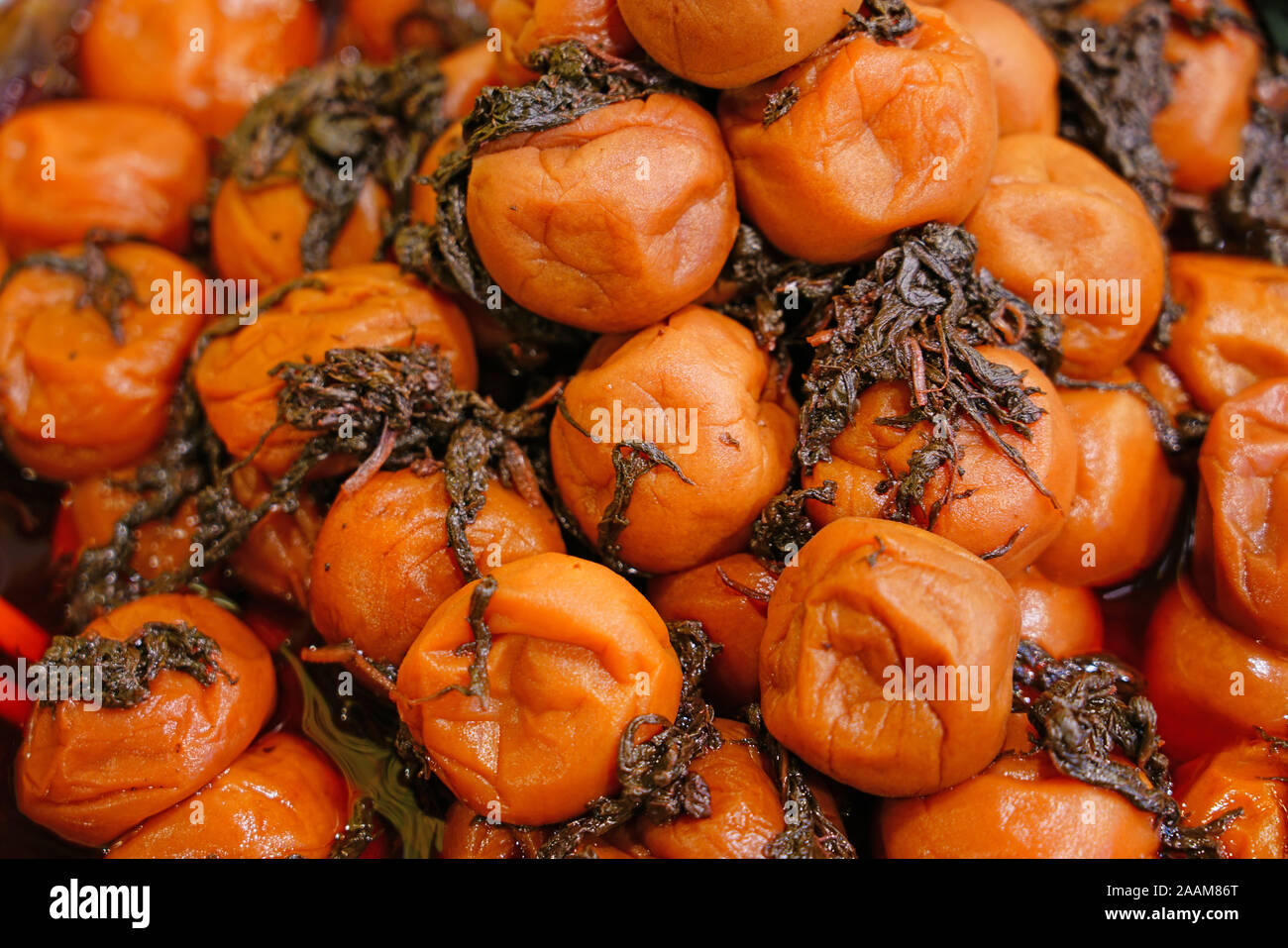 Pink umeboshi pickled ume plums with shiso Stock Photo Alamy