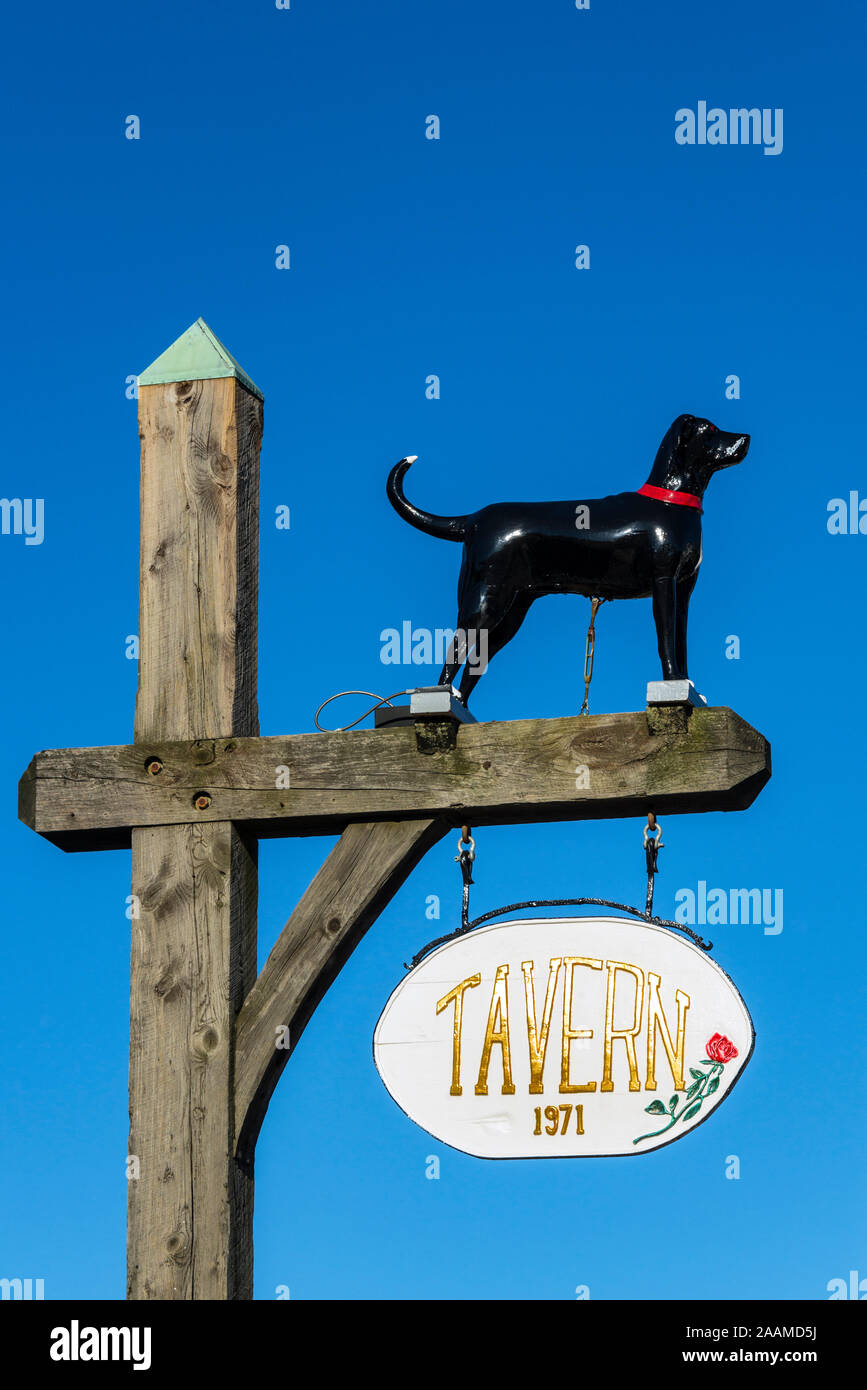 Black Dog Tavern, Vineyard Haven, Martha's Vineyard, Massachusetts, USA Stock Photo