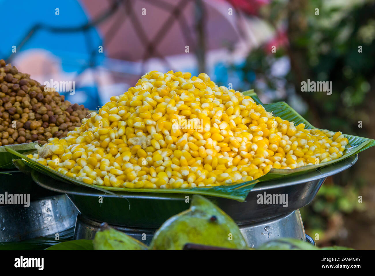 A pile of sweet corn on the food stall in Sanjay Gandhi National Park Mumbai India, which is popular street feed in india. Stock Photo