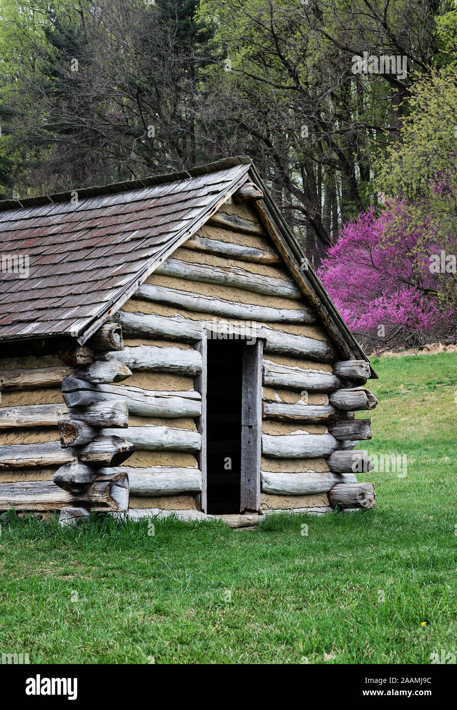 Usa National Park Cabin Stock Photos Usa National Park Cabin