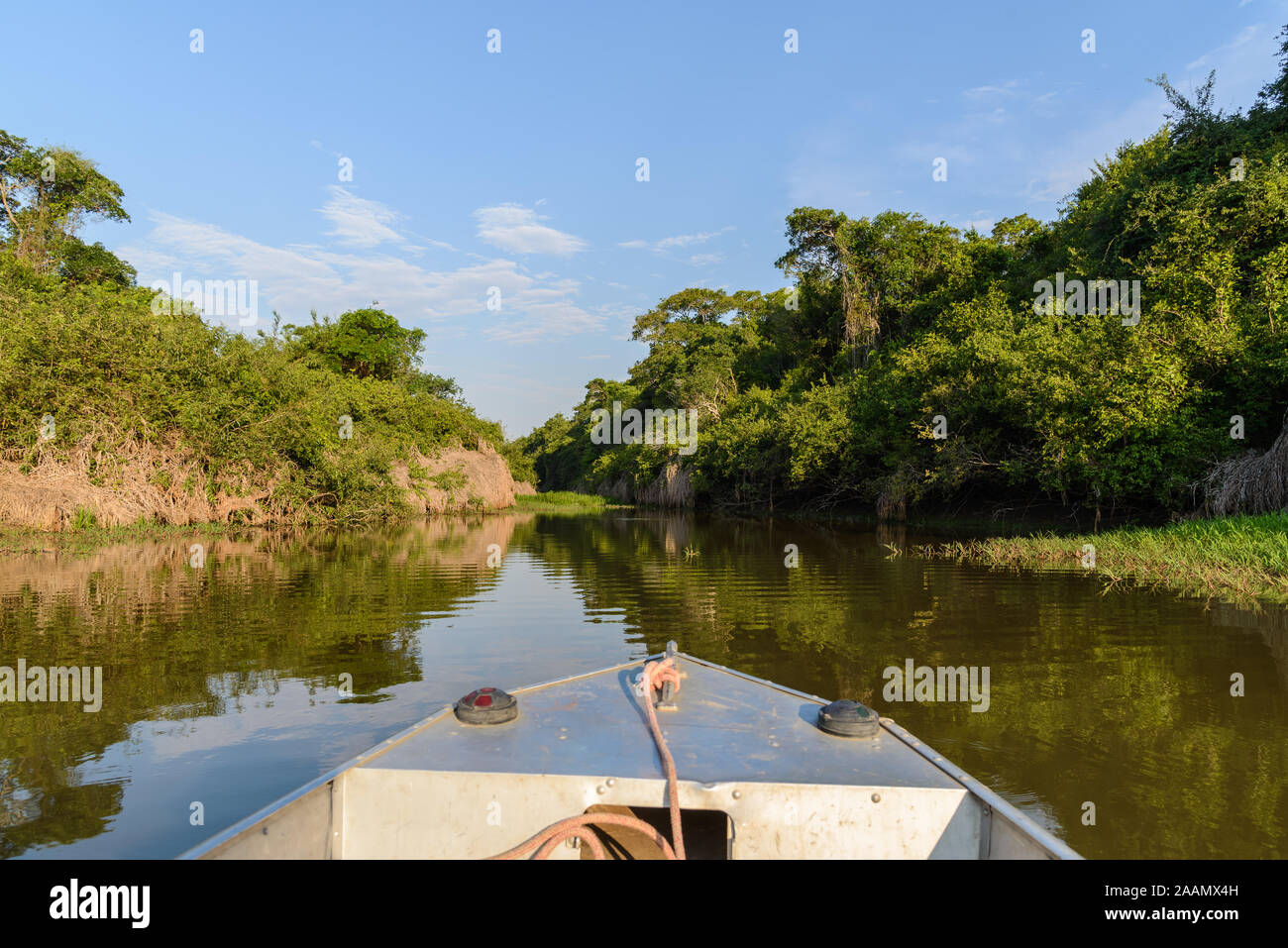 Dense forest along the Rio Araguaia, a major tributary in the Amazon Basin. Tocantins, Brazil, South America. Stock Photo