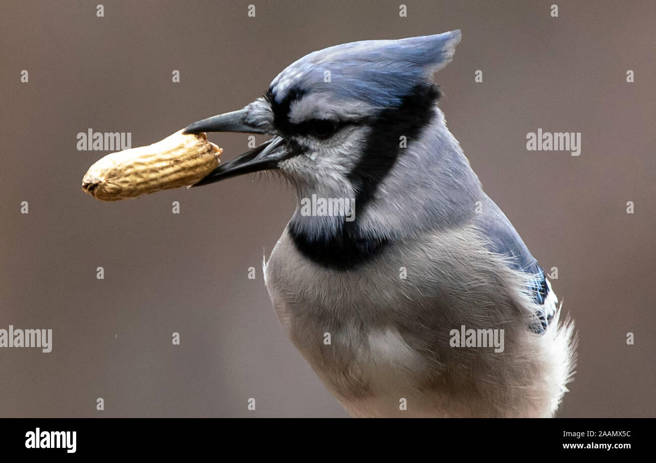 Snatcheo Snatched away hi-res stock photography and images - Alamy