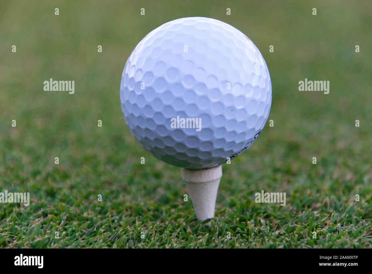 golf ball on tee pegs ready to play in the golf course Stock Photo
