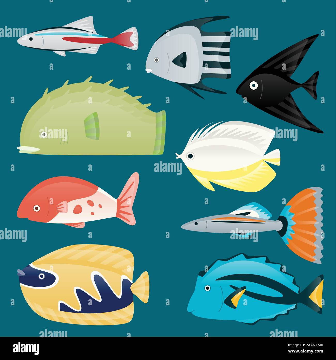 Molly fish hi-res stock photography and images - Page 3 - Alamy
