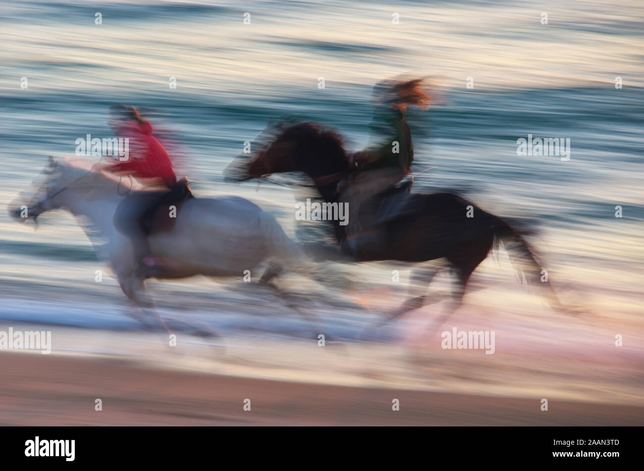 Horse moving on the sea. Speed motion scene Stock Photo Alamy