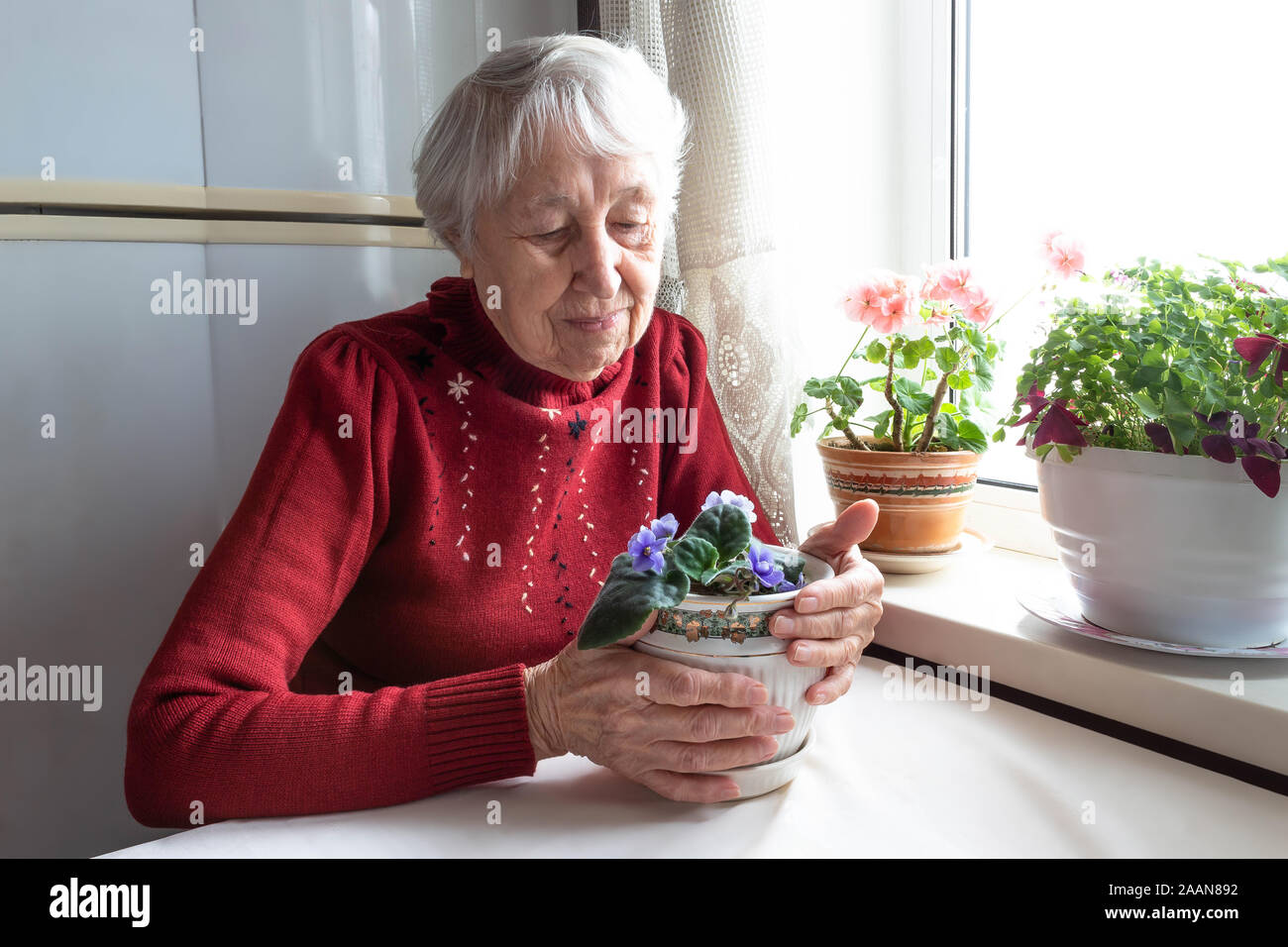 Portrait of smiling senior woman Stock Photo