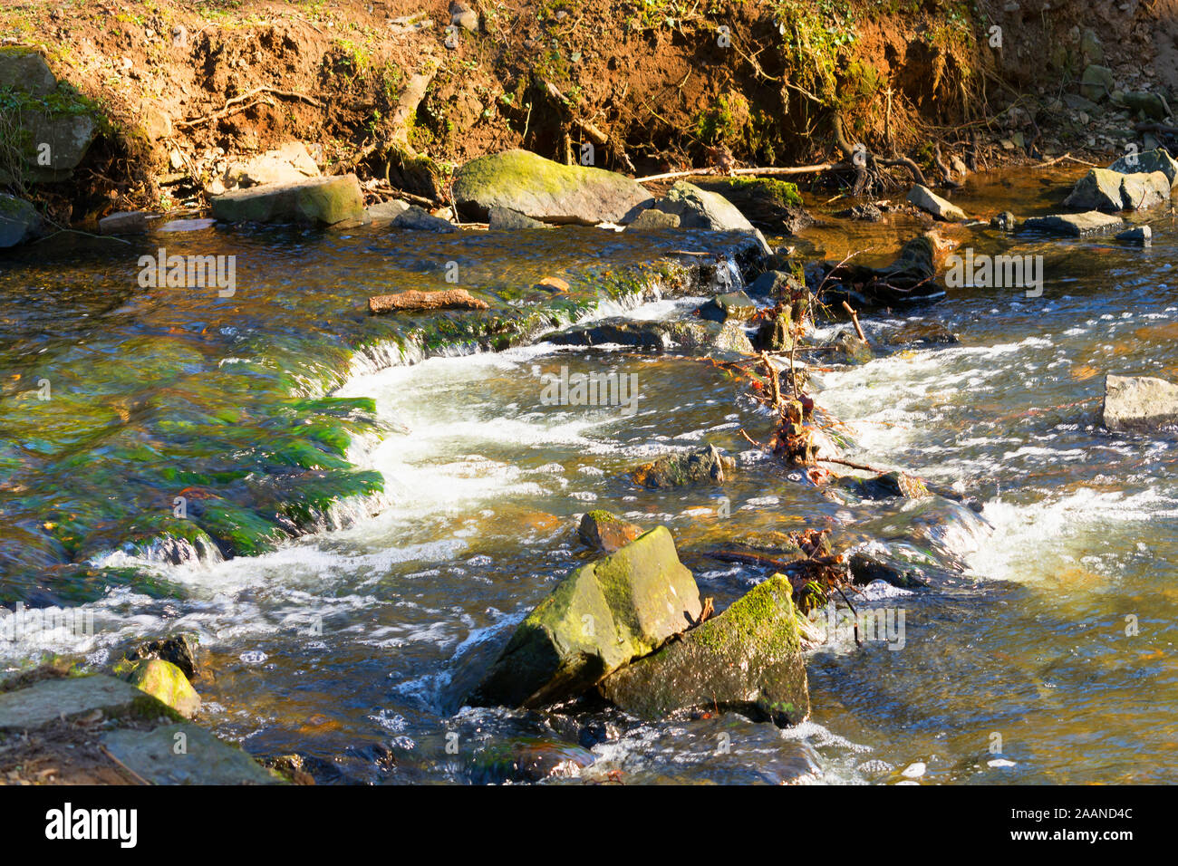 Forest River waterfall view. Wild rapids. Forest wild river water stream. Stock Photo