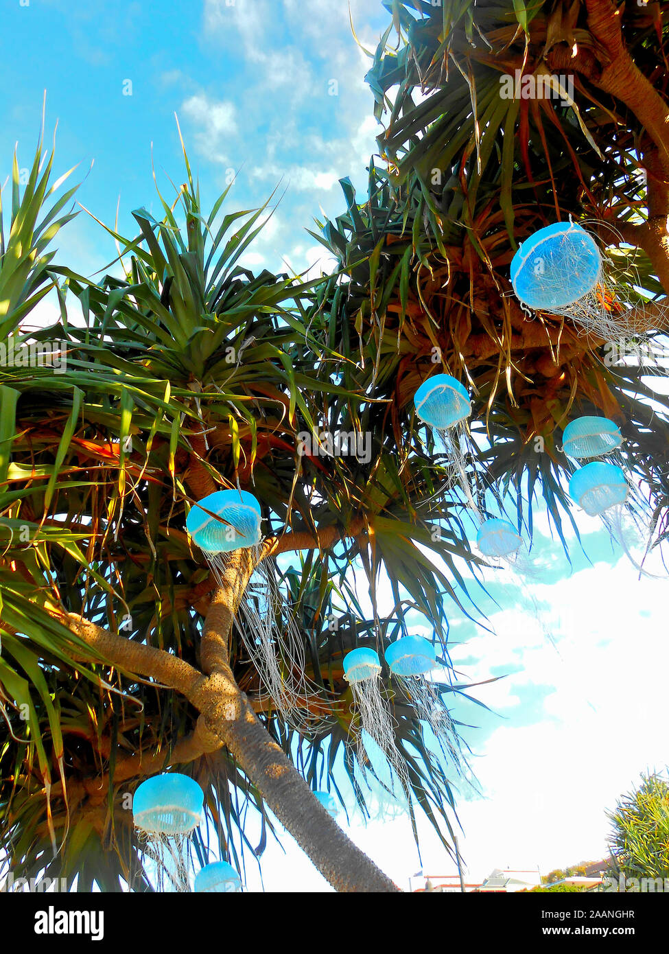 SWELL Sculpture Festival Currumbin Beach Gold Coast Queensland