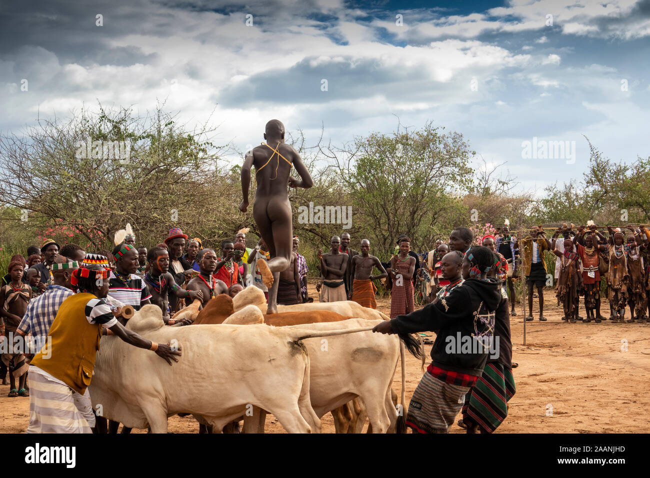 Ethiopia, South Omo, Turmi, bull jumping ceremony, naked Hamar man leaping over bulls from behind Stock Photo