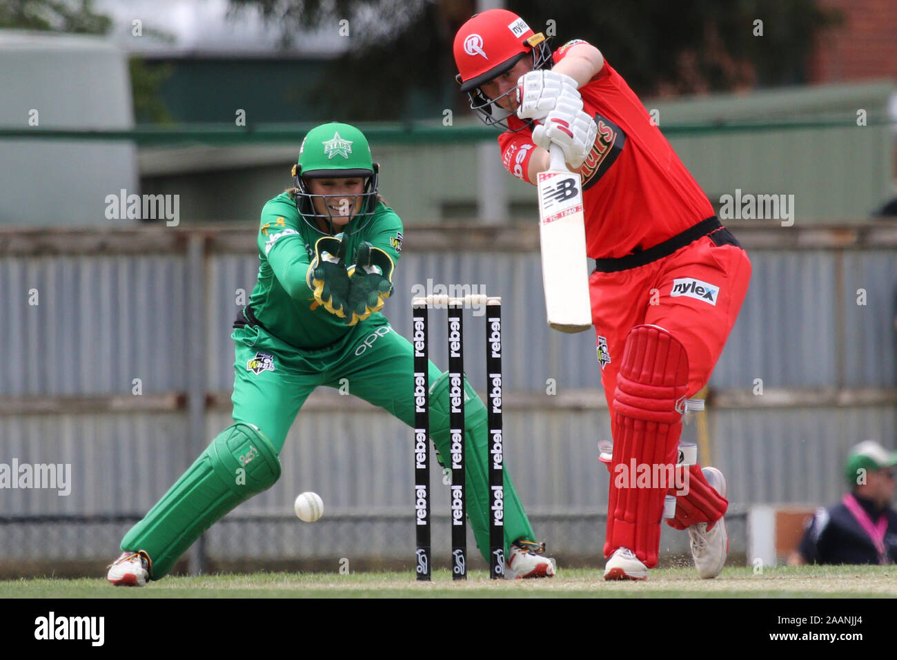 Womens big bash league hi-res stock photography and images - Alamy