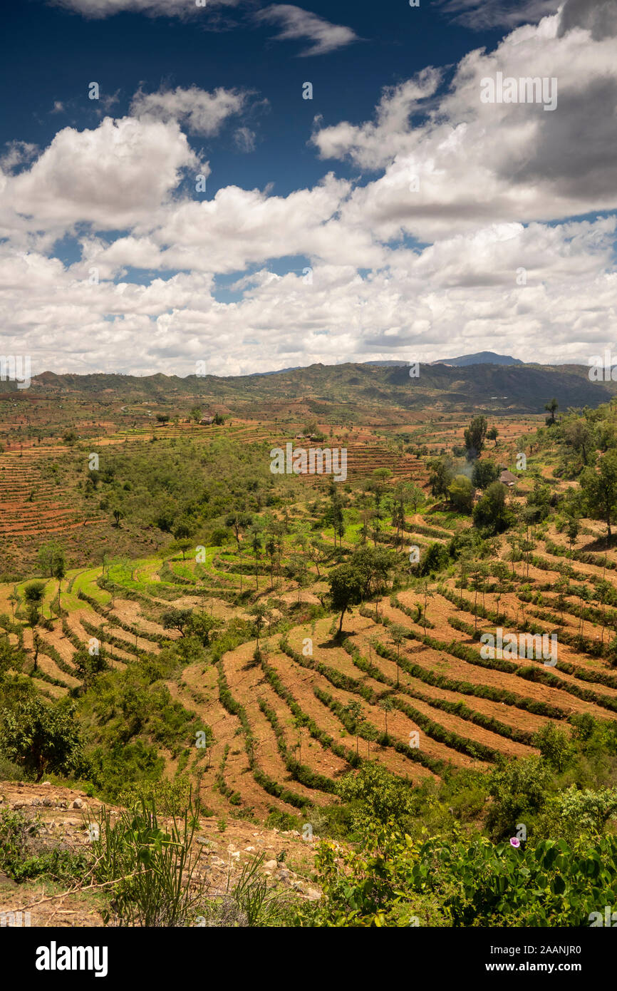 Ethiopia, South Omo, Weito, agricultural terraces on hillside by Konso