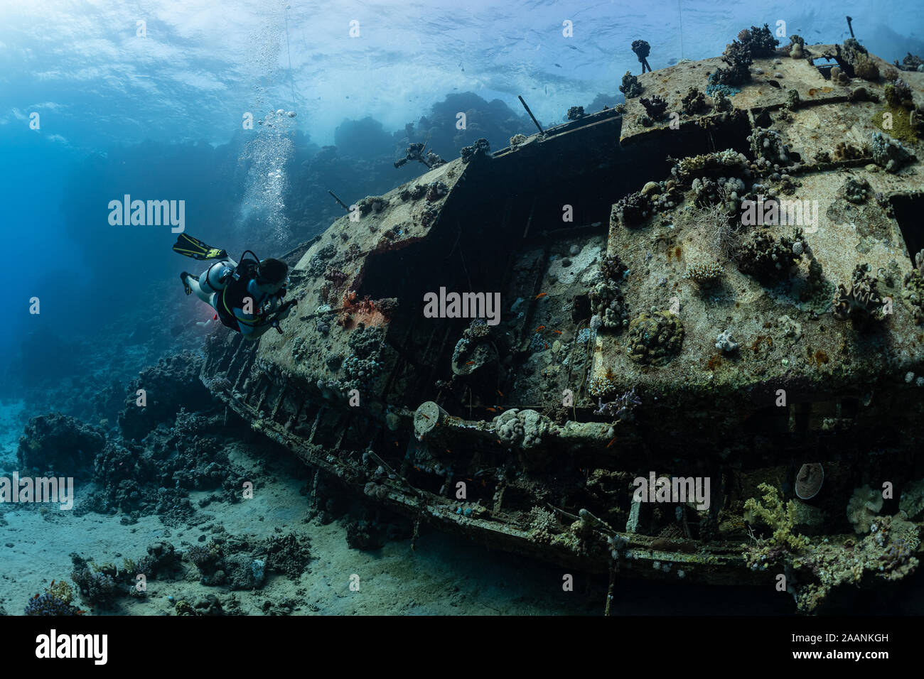 woman diver visiting an underwater wreck of a metal sailboat on a reef in the Rea Sea, Egypt Stock Photo