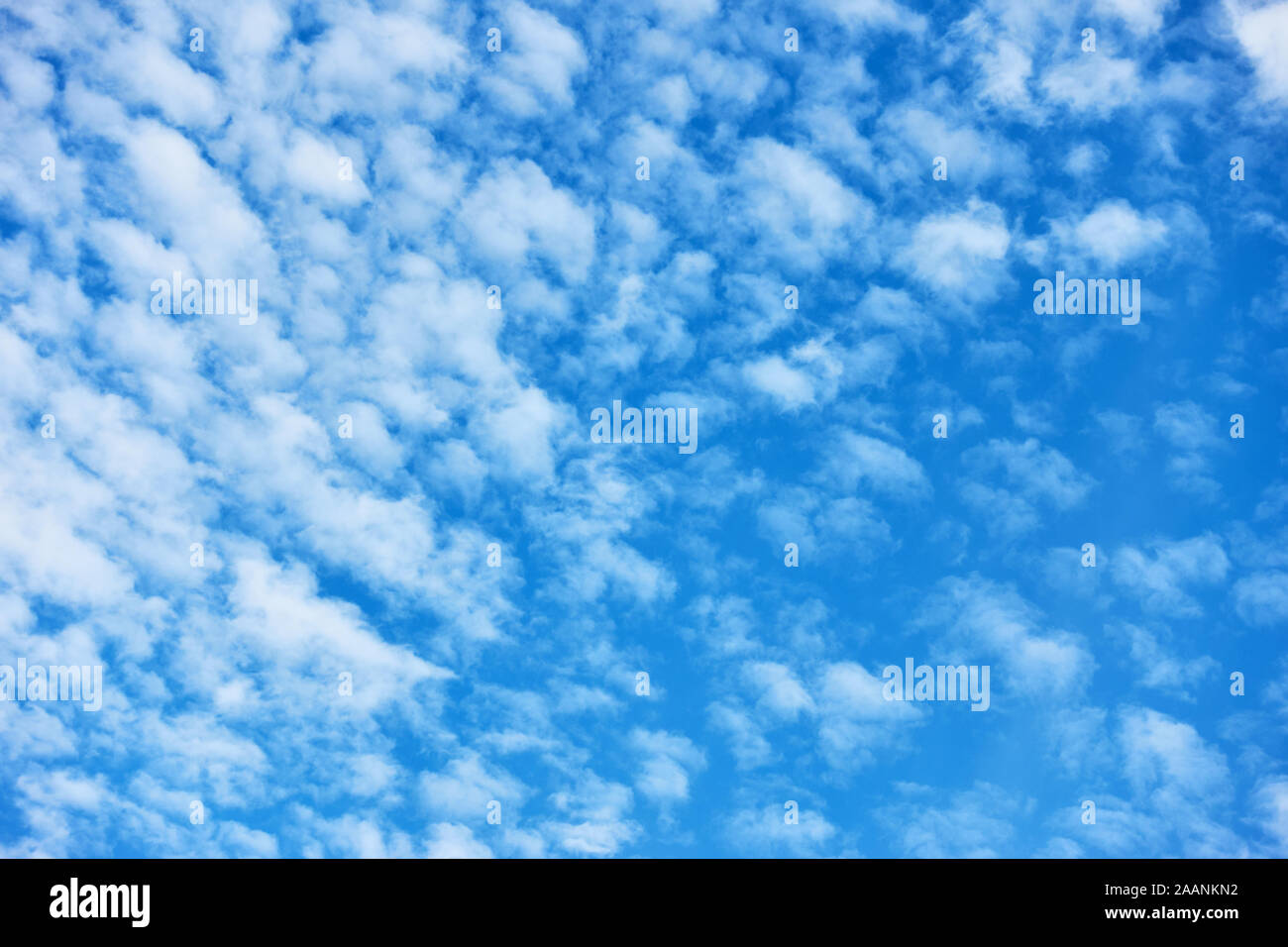 Blue sky with lots small white fleecy clouds - textured background Stock Photo