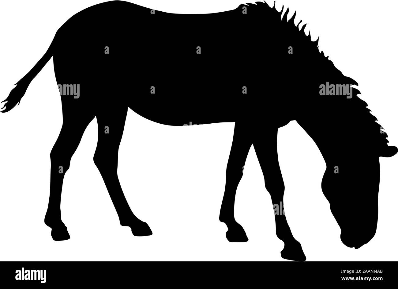 Silhouette african zebra on a white background Stock Vector Image & Art ...