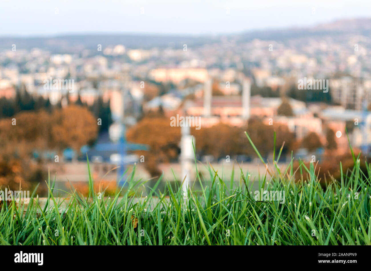 lawn with fresh green grass close up and the city in the background ...