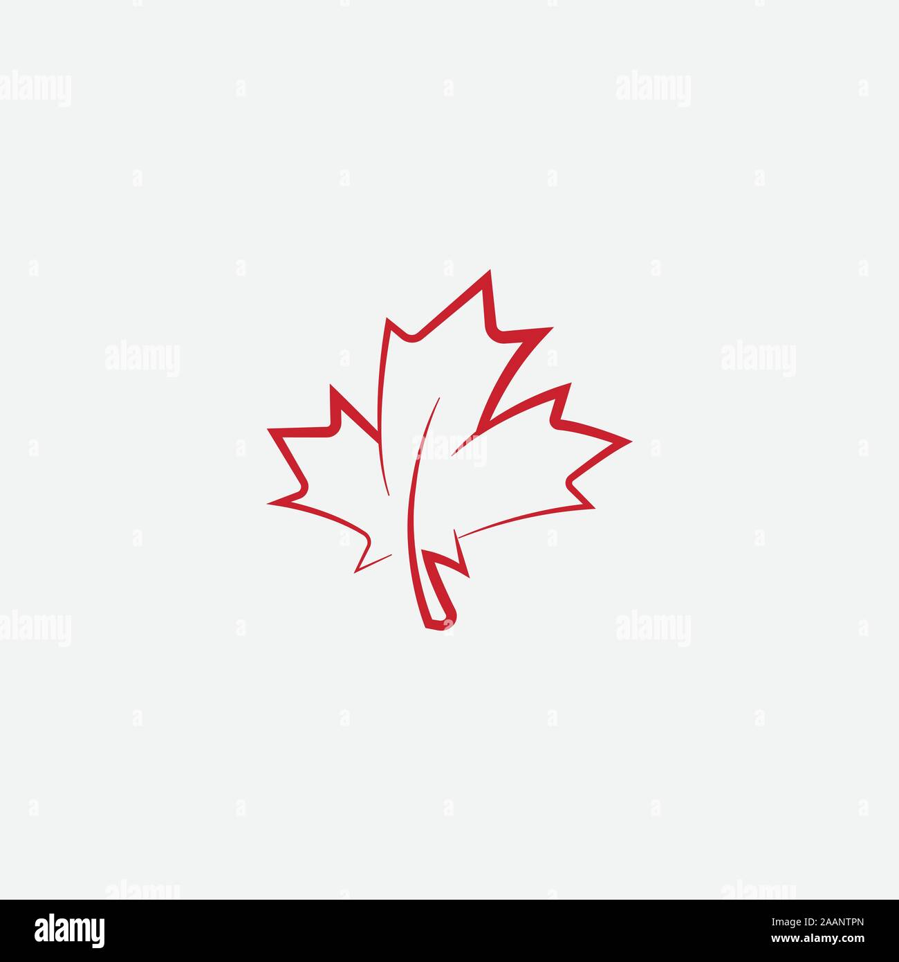 Premium Vector  Maple leaf vector illustration