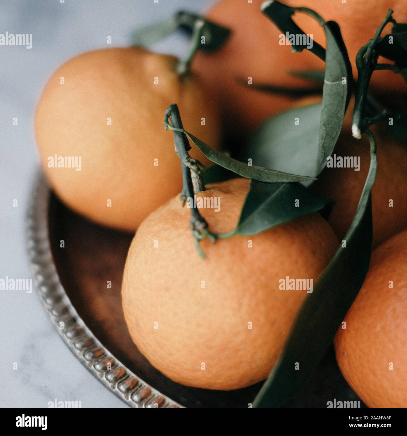 Clementines styled with their green leaves and stalks Stock Photo Alamy