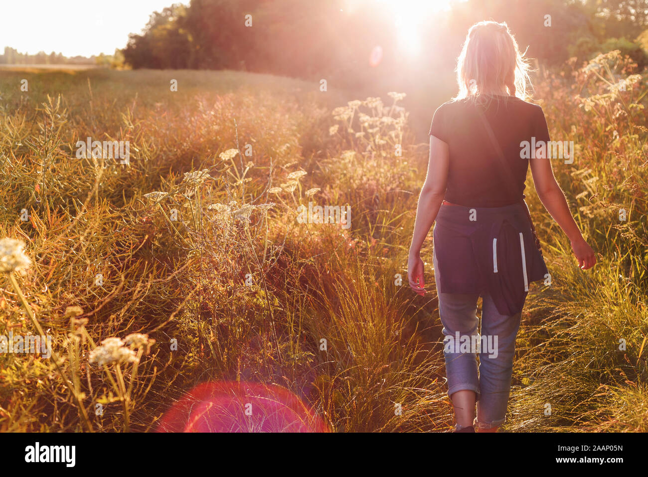 Woman walking in the field hi-res stock photography and images - Alamy